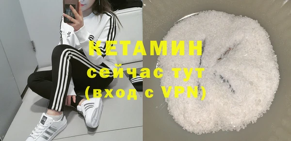 сатива Бородино