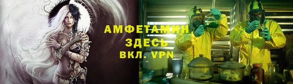 сатива Бородино