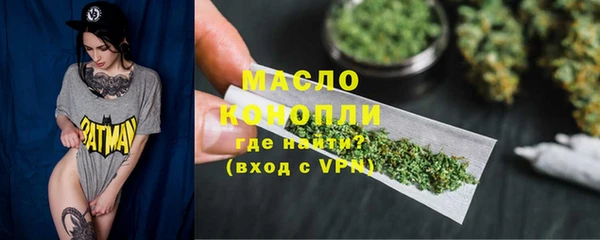 сатива Бородино