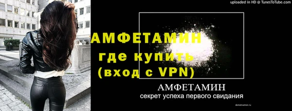 сатива Бородино