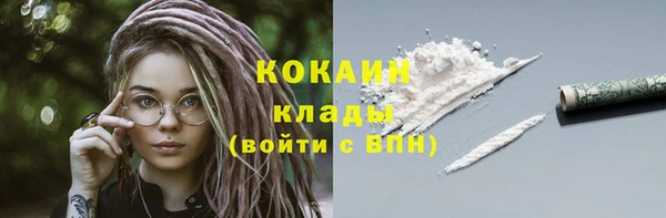 сатива Бородино