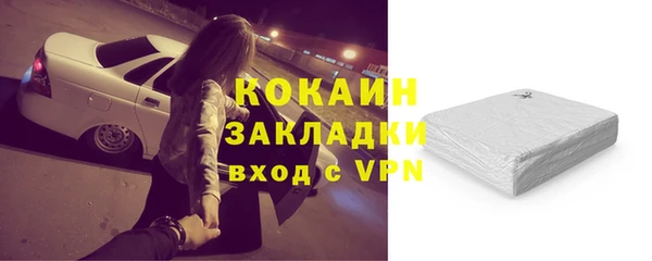 сатива Бородино