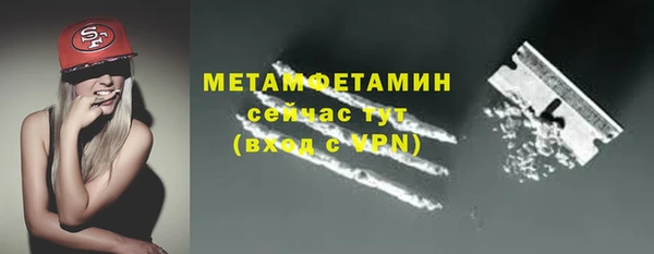 сатива Бородино