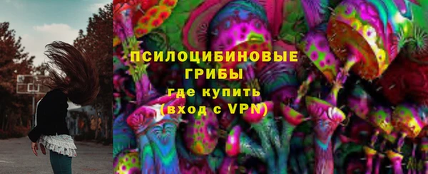 ГАЛЛЮЦИНОГЕННЫЕ ГРИБЫ Бронницы