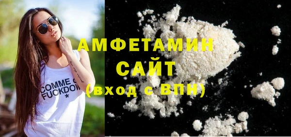сатива Бородино