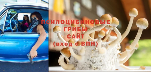 сатива Бородино