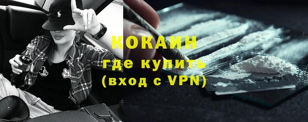 сатива Бородино