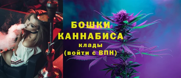 сатива Бородино